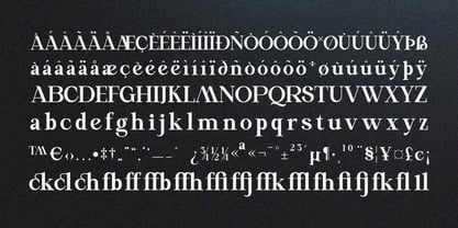Meylo Roman Font Poster 9