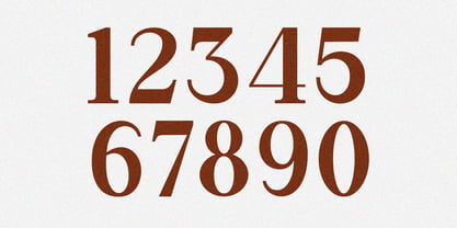 Meylo Roman Font Poster 10