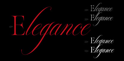 Reichamerina Font Poster 6