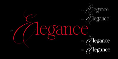 Reichamerina Font Poster 7
