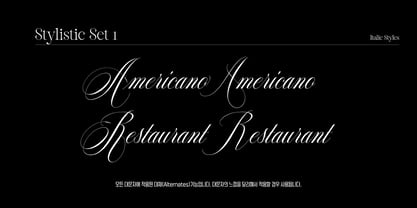 Reichamerina Font Poster 13