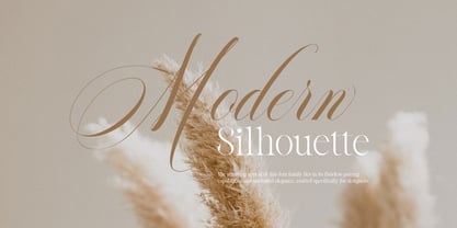 Reichamerina Font Poster 4