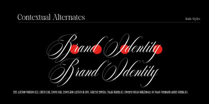 Reichamerina Font Poster 12
