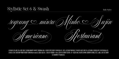 Reichamerina Font Poster 15