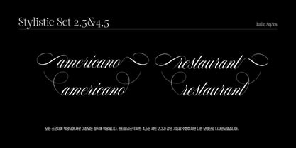 Reichamerina Font Poster 14