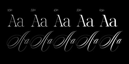 Reichamerina Font Poster 10