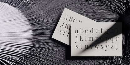 Reichamerina Font Poster 8