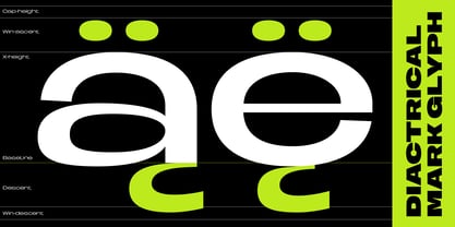Berier Font Poster 8
