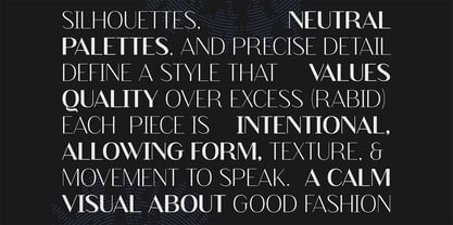 Finico Sans Font Poster 3