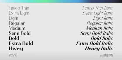 Finico Sans Font Poster 2