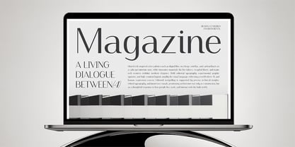 Finico Sans Font Poster 10