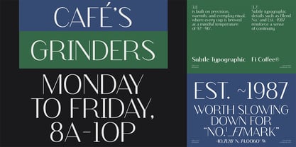 Finico Sans Font Poster 5