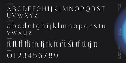 Finico Sans Font Poster 11