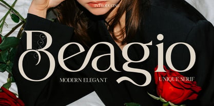 Beagio Font Poster 1
