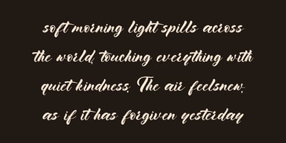 Ladiya Font Poster 6