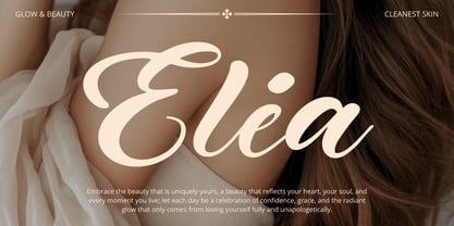 Ladiya Font Poster 2