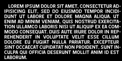 Zesnov Font Poster 3