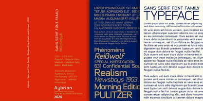 Aybrion Font Poster 14