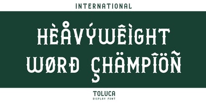 Toluca Font Poster 6