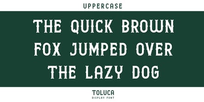 Toluca Font Poster 2