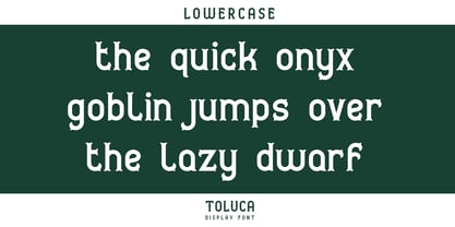Toluca Font Poster 3