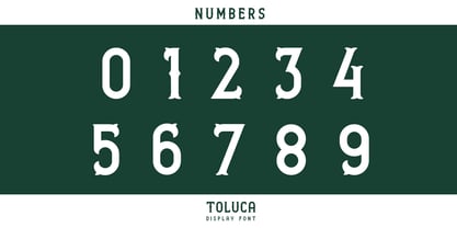 Toluca Font Poster 4