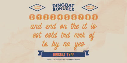 Zesty Spirit High Font Poster 11