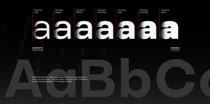 TBJ Elvaro Font Poster 2