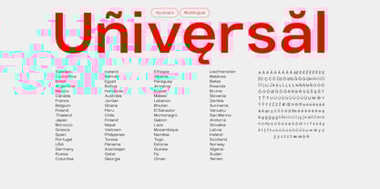 TBJ Elvaro Font Poster 6