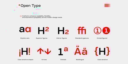 TBJ Elvaro Font Poster 5