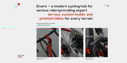 TBJ Elvaro Font Poster 9