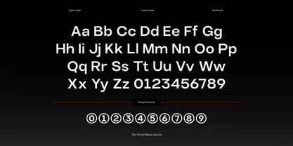 TBJ Elvaro Font Poster 4