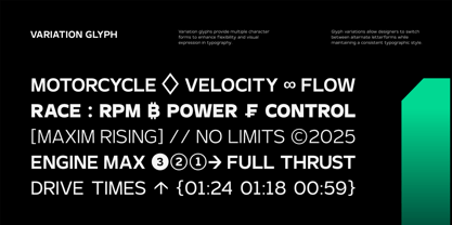 TRT Monexa Font Poster 13