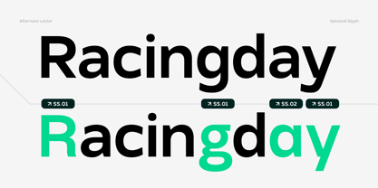 TRT Monexa Font Poster 14