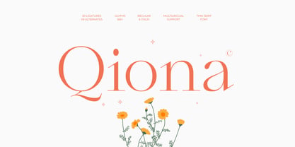 Qiona Font Poster 1