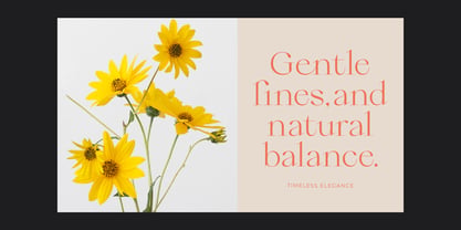 Qiona Font Poster 7