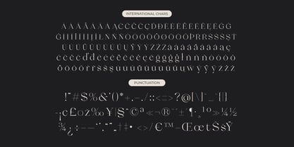 Qiona Font Poster 14