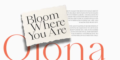 Qiona Font Poster 9