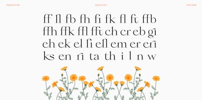 Qiona Font Poster 13