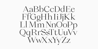 Qiona Font Poster 11
