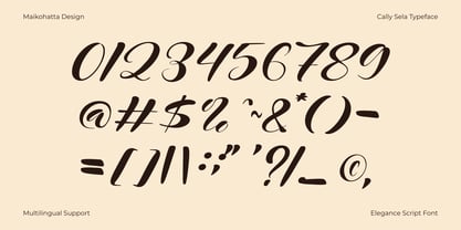 Cally Seyla Font Poster 5