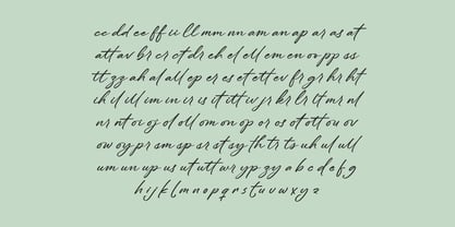 Flowers the Breeze Font Poster 11