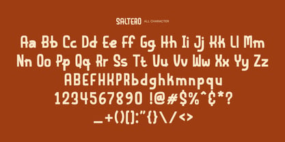 Saltero Font Poster 11