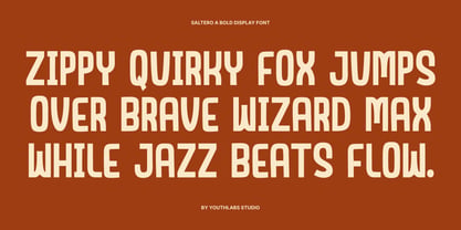 Saltero Font Poster 2
