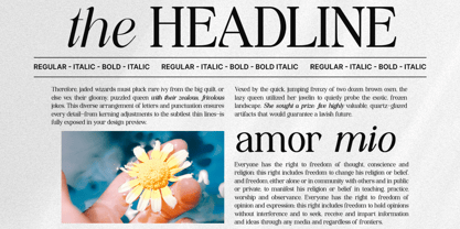 The Starly Ethical Font Poster 2