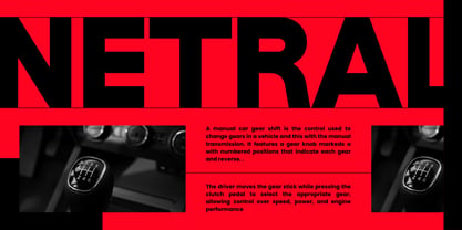 Henko Font Poster 3