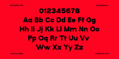 Henko Font Poster 6
