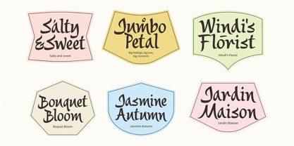 Saltza Font Poster 2