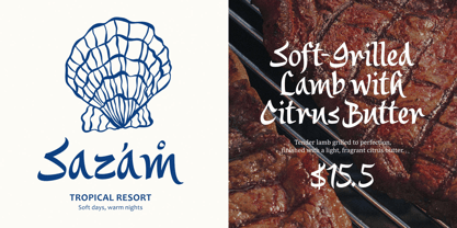 Saltza Font Poster 4
