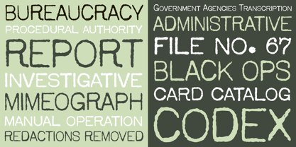 Bank Statement Pro AOE Font Poster 2
